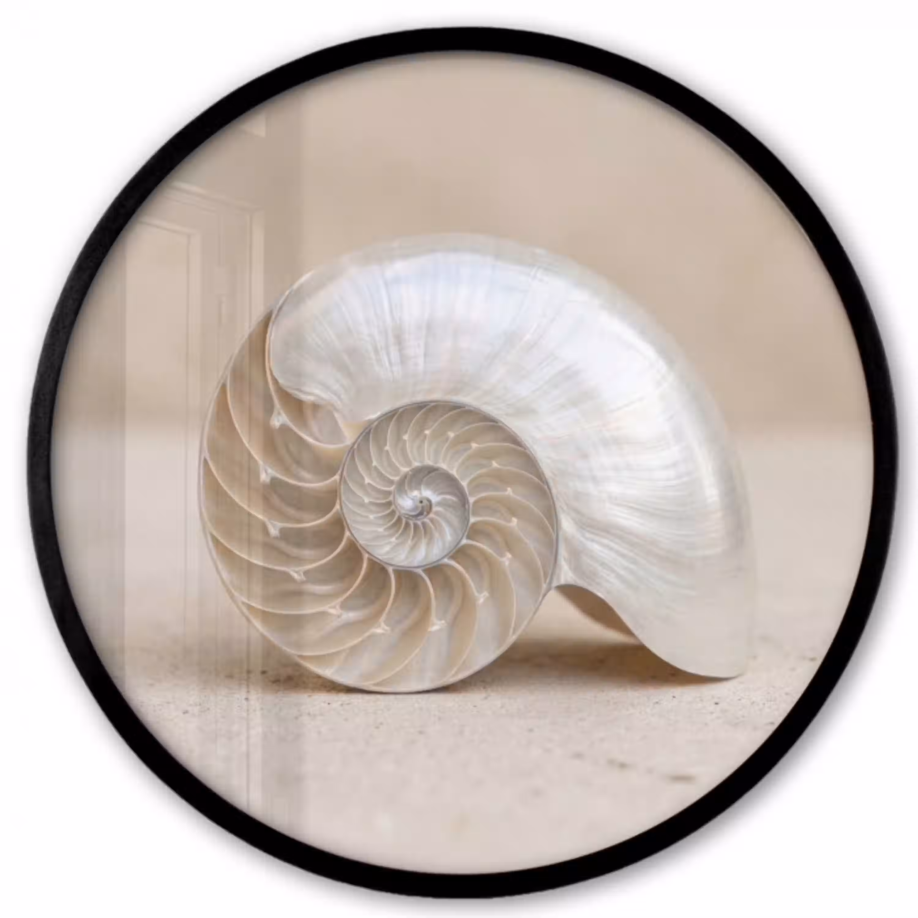Schelp - Spiraal - Beige Fotolijst rond zonder passe partout klein -3d