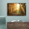 Bos - Herfst - Zon - Landschap - Natuur - Bomen - Bladeren canvas 2cm klein -sfeer4