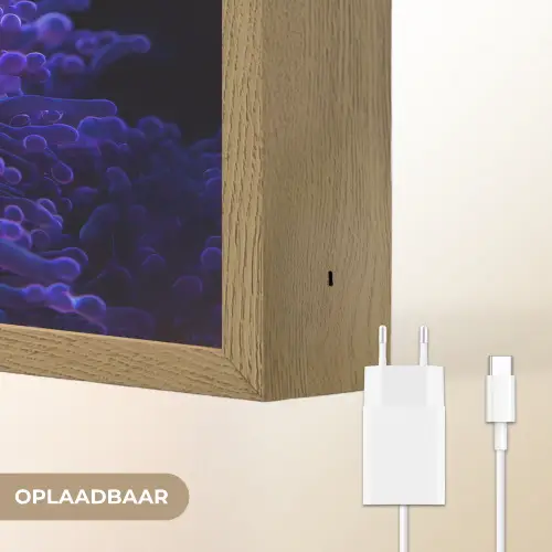 Koraal - Vis - Oranje - Zee Light Box met batterij (Wandlamp) middel -USP_websiteoplaadbaarNL