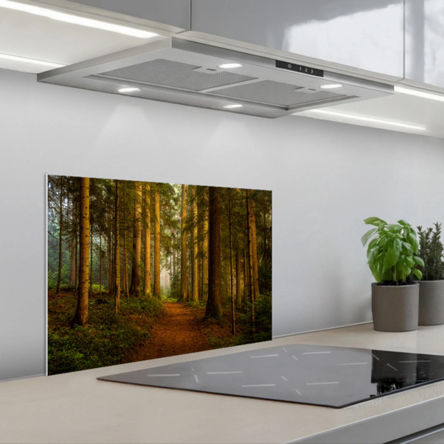 Bos - Natuur - Bomen - Landschap - Bladeren keuken achterwand spatscherm klein -3d_schuin
