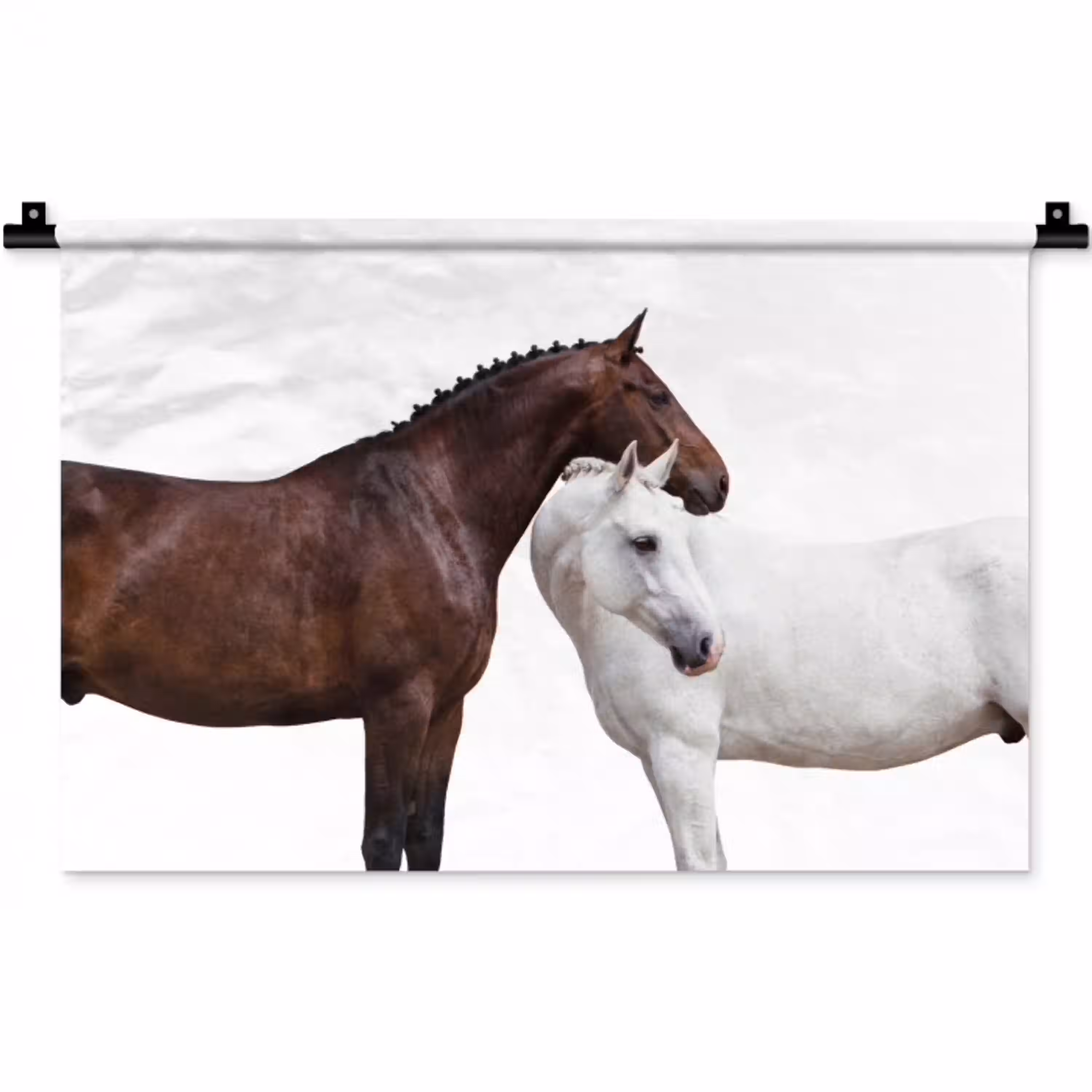 Paard - Modern - Balans Wandkleed katoen klein -zz3d