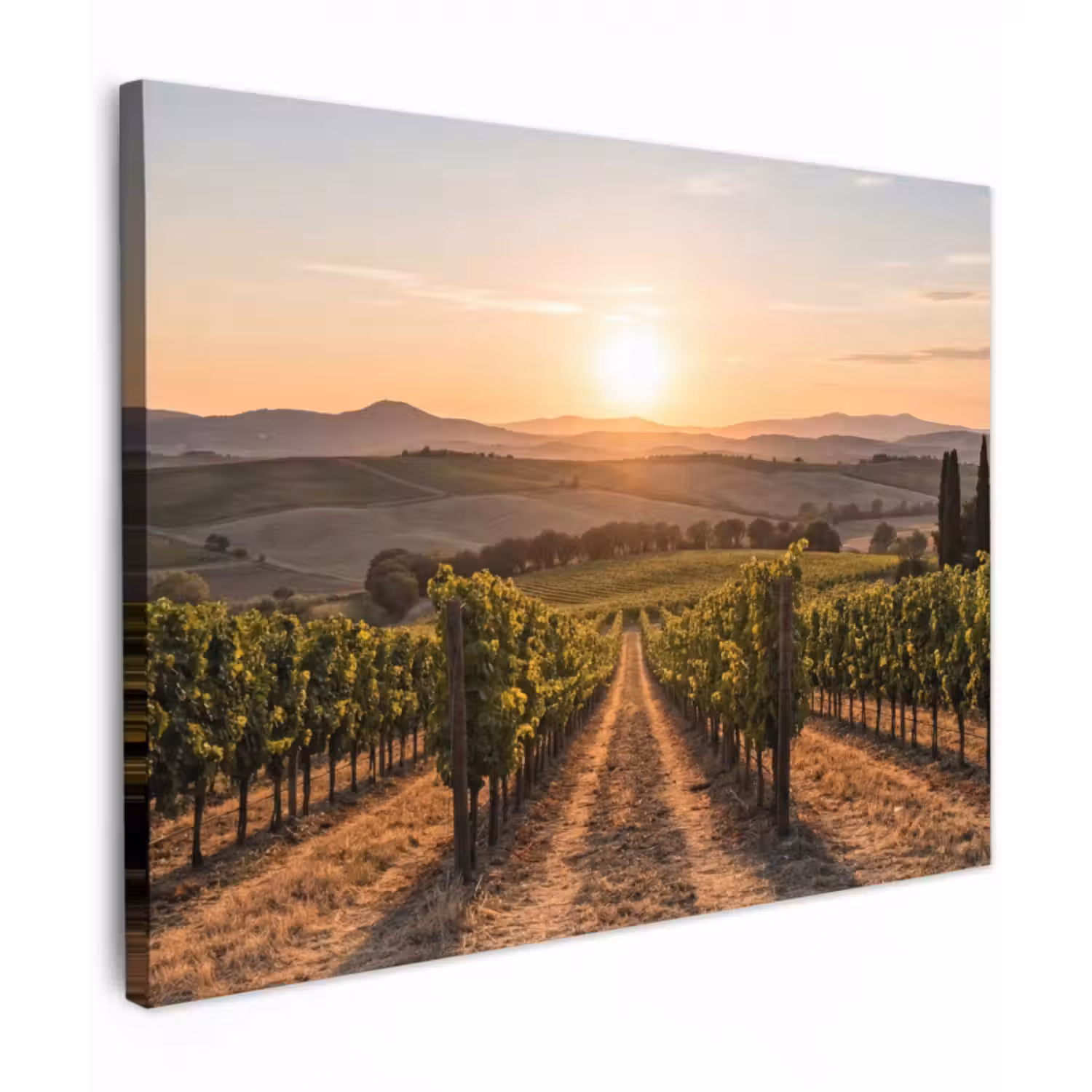 Leinwandbild - Weinberg - Sonnenuntergang - Landschaft