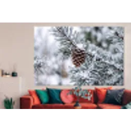 Dennenappel - Tak - Sneeuw - Winter - Sfeervol forex 5mm xxl -woonkamer