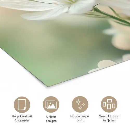 Lieveheersbeestje - Bloemen - Wit poster papier klein -closeup_NL
