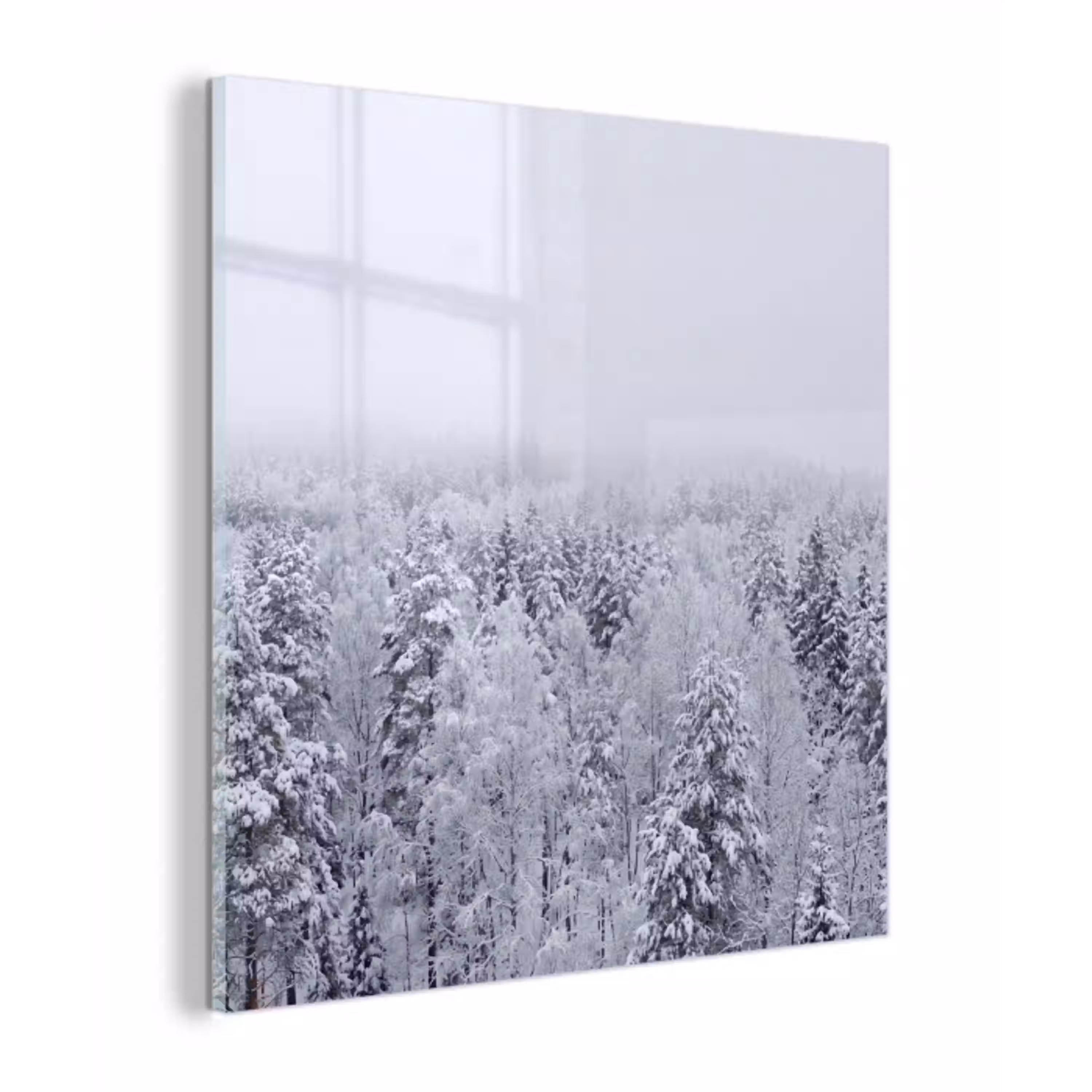 Bos - Sneeuw - Winter - Natuur - Wit plexiglas 5mm klein -z3d