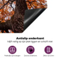 Boom - Bladerdak - Herfst - Oranje - Sfeervol Inductie beschermer vinyl 3mm middel -zzzzzzz-cc-onderkant