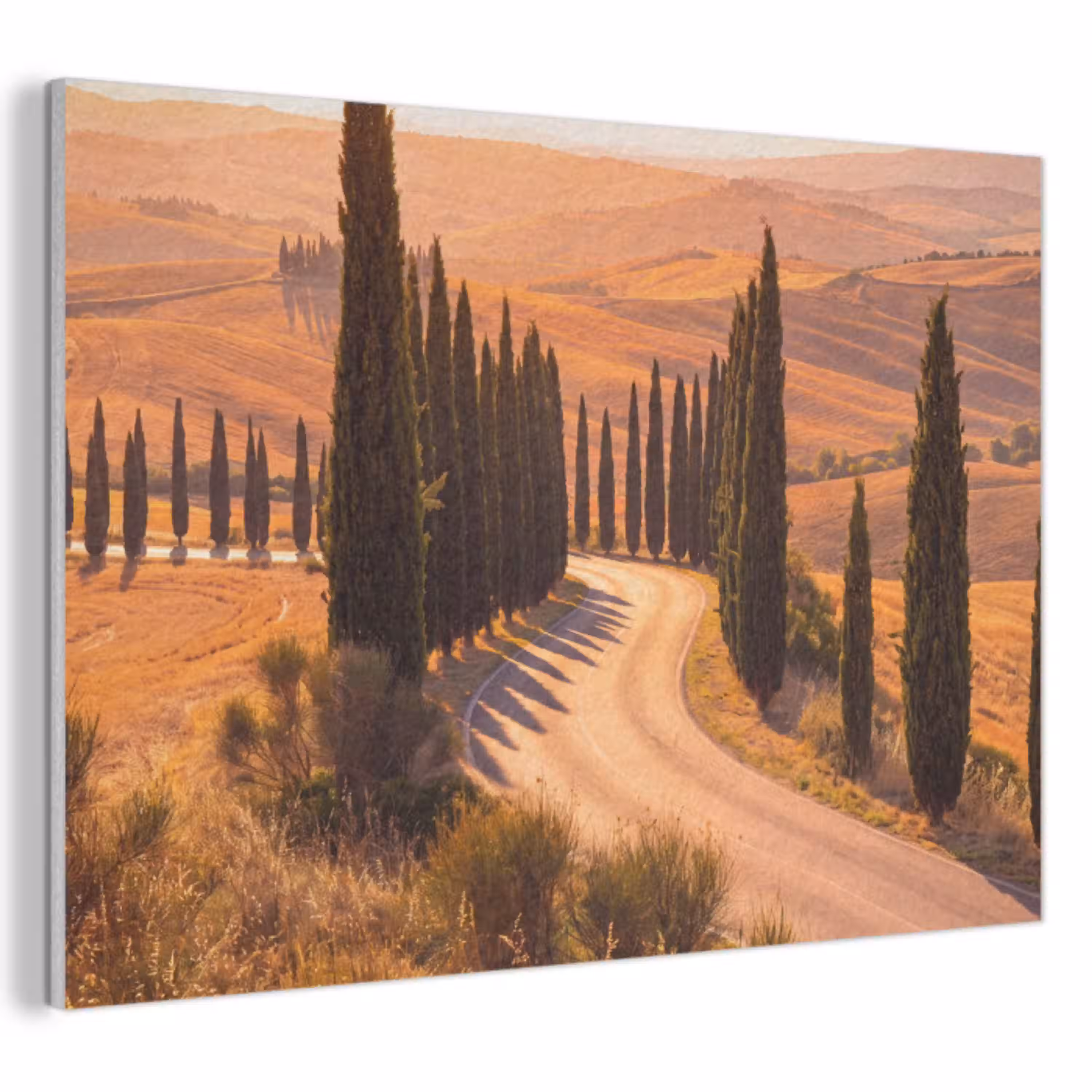 Landschap - Weg - Bomen - Natuur - Goud PET vilt klein -3d
