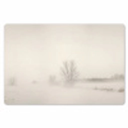 Boom - Mist - Sneeuw - Winter - Minimalistisch Placemat vinyl groot -zzsfeer1_Kitchenyeah-website