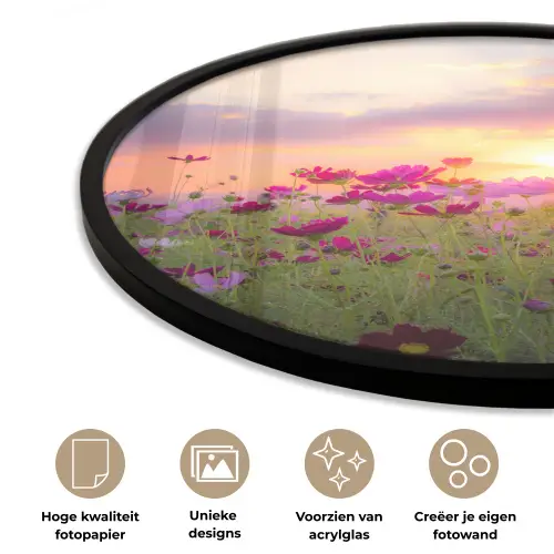 Bloemen - Roze - Zonsondergang - Natuur - Weide - Horizon Fotolijst rond zonder passe partout klein -closeup_NL