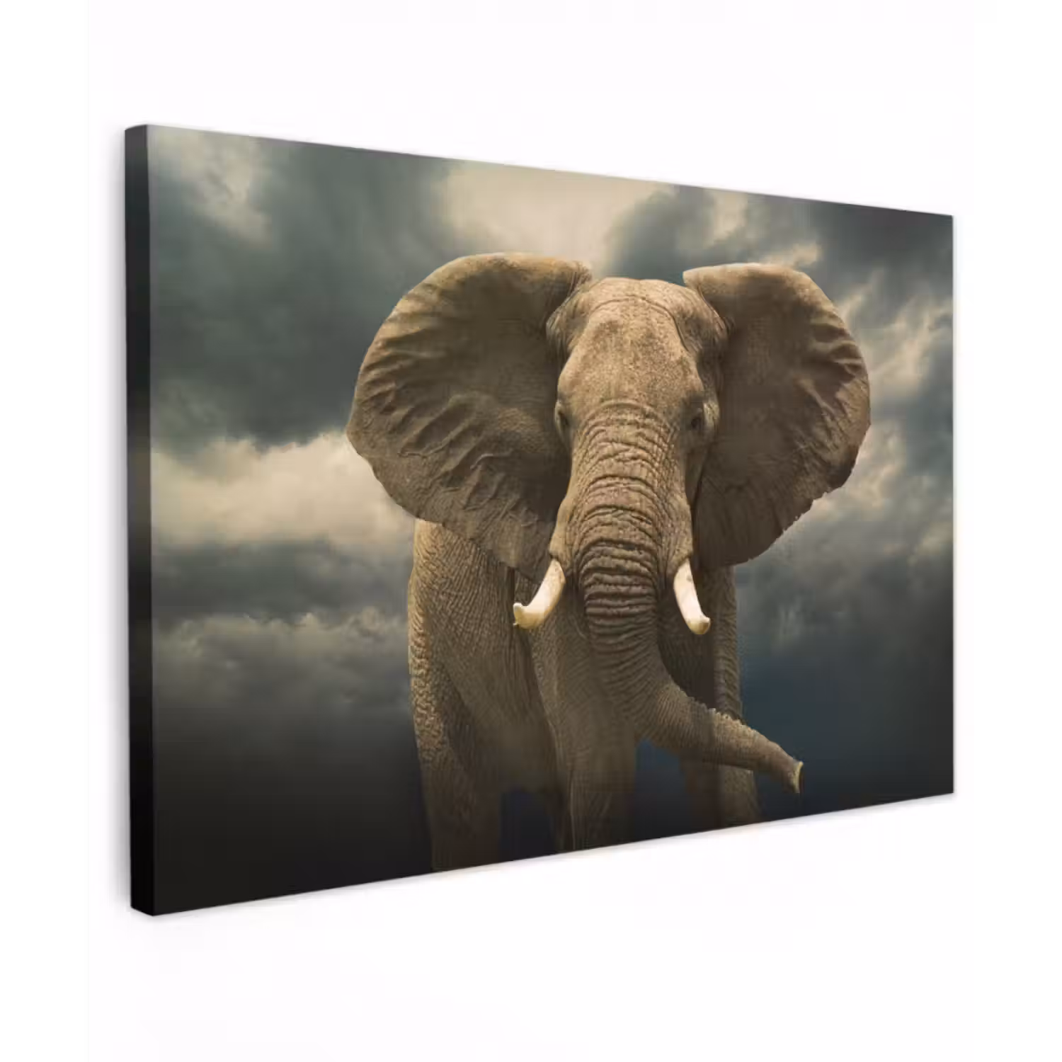Leinwandbild - Afrikanischer Elefant gegen die dunklen Wolken