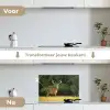 Hert - Gewei - Gras - Natuur - Dieren - Groen keuken achterwand spatscherm klein -voor_na_NL