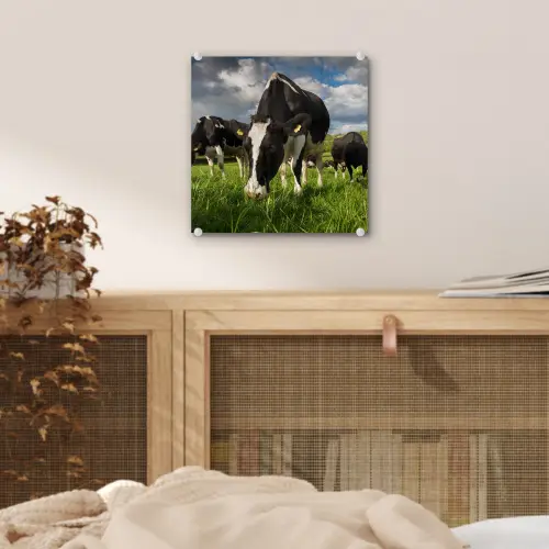 Koeien - Dieren - Gras - Weiland - Boerderij plexiglas 5mm klein -sfeer4