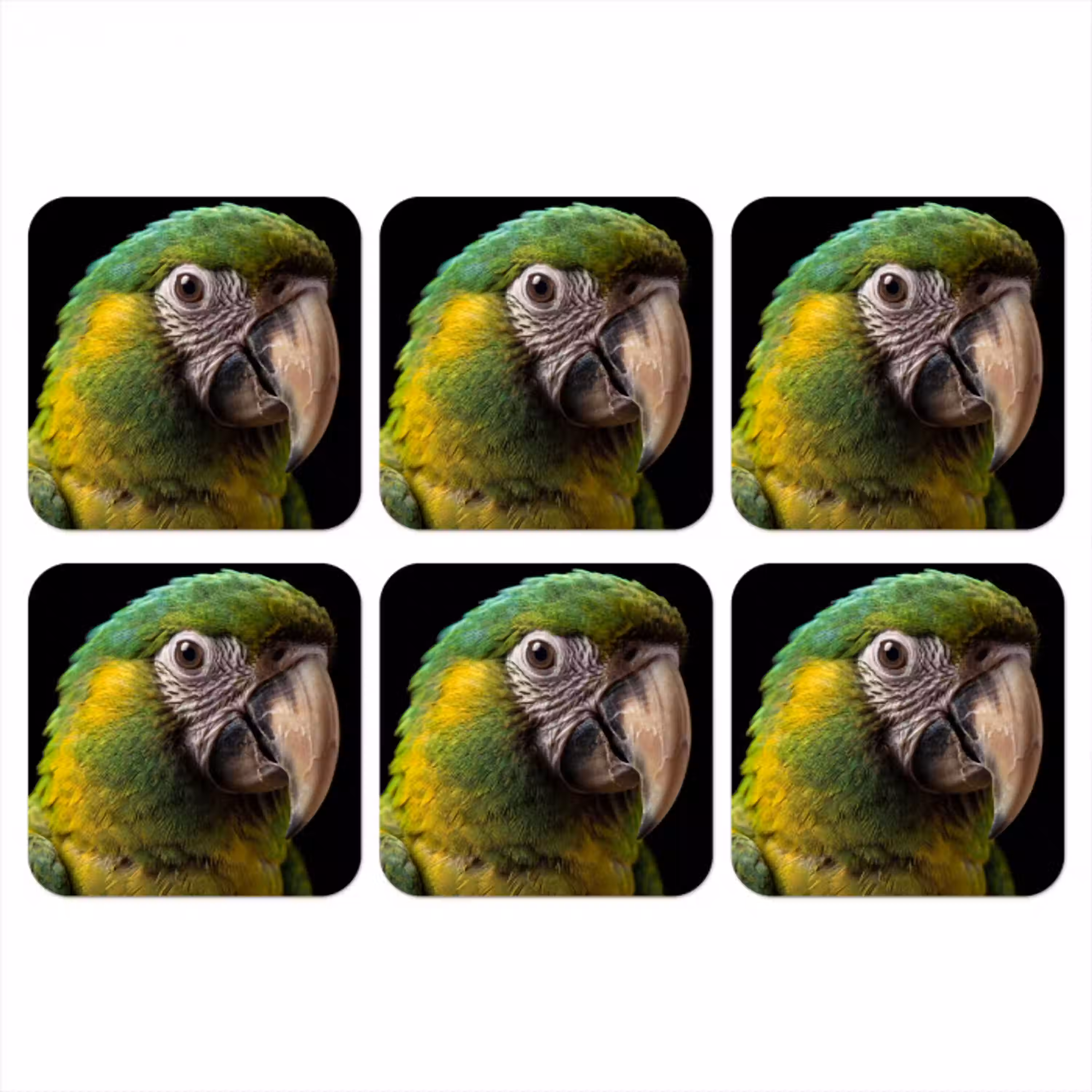 Ara - Portret - Groen onderzetter kurk middel -3d
