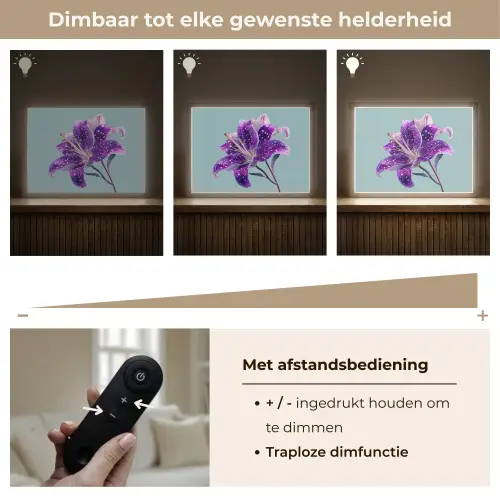 Lelie - Bloem - Paars - Stippen Light Box met batterij (Wandlamp) middel -USP_dimbaarNL