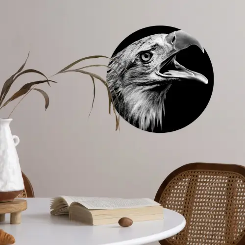 Adelaar - Portret - Roofvogels - Zwart - Wit - Vogel Wandcirkel behangsticker klein -sfeer3