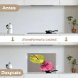 Planten - Anthurium - Groen - Roze keuken achterwand spatscherm klein -voor_na_ES
