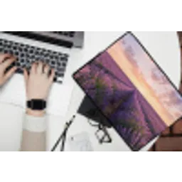 Landschap - Lavendelveld - Paars laptophoes neopreen klein -bureau