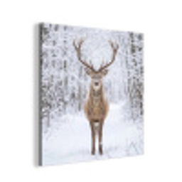 Hert - Winter - Bos - Natuur - Wit aluminium wit klein -3d