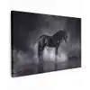 Paard - Magisch - Zwart Tuinposter op houten frame 2 cm dik klein -3d