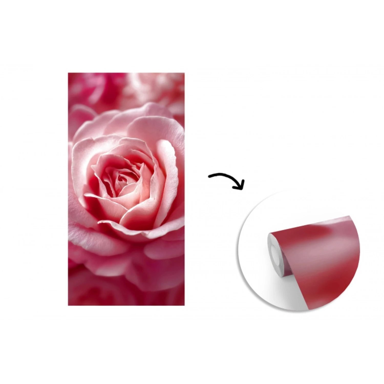 Roze - Roos - Romantisch fotobehang vinyl groot -3d