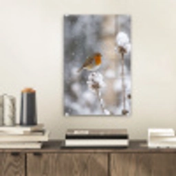 Roodborstje - Gedroogde bloem - Sneeuw - Winter - Vertederend plexiglas 5mm klein -sfeer1
