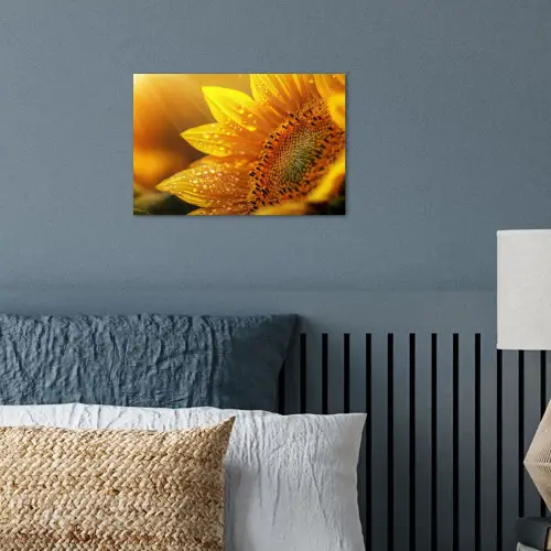 Zonnebloem - Dauwdruppels - Geel - Zonlicht poster papier klein -sfeer2