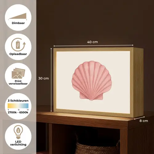 Schelp - Roze - Ribbels Light Box met batterij (Wandlamp) middel -USP_websiteoverzichtNL