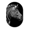 Zebra - Zwart - Wit - Portret - Dieren Wandcirkel Ovaal Forex klein -3d