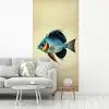 Blauw - Kieuwen - Vis - Illustratie fotobehang vinyl groot -woonkamer