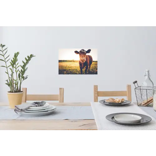 Koe - Zonsondergang - Bloemen - Gras - Dieren Muursticker klein -eettafel