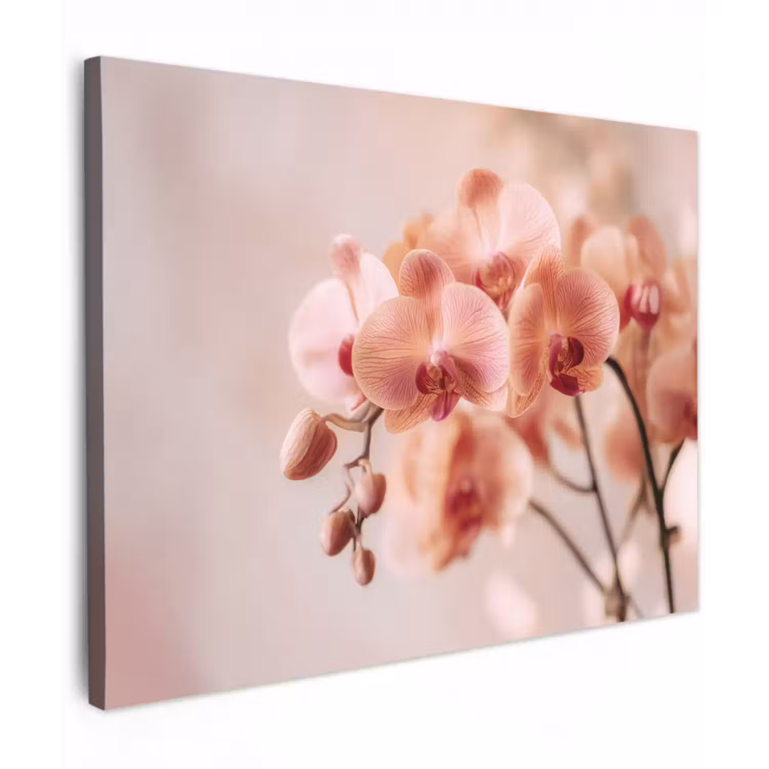 Leinwandbild - Orchidee - Blumen - Rosa - Blütenblätter
