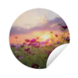 Bloemen - Roze - Zonsondergang - Natuur - Weide - Horizon Wandcirkel tuinposter met ringen klein -3d