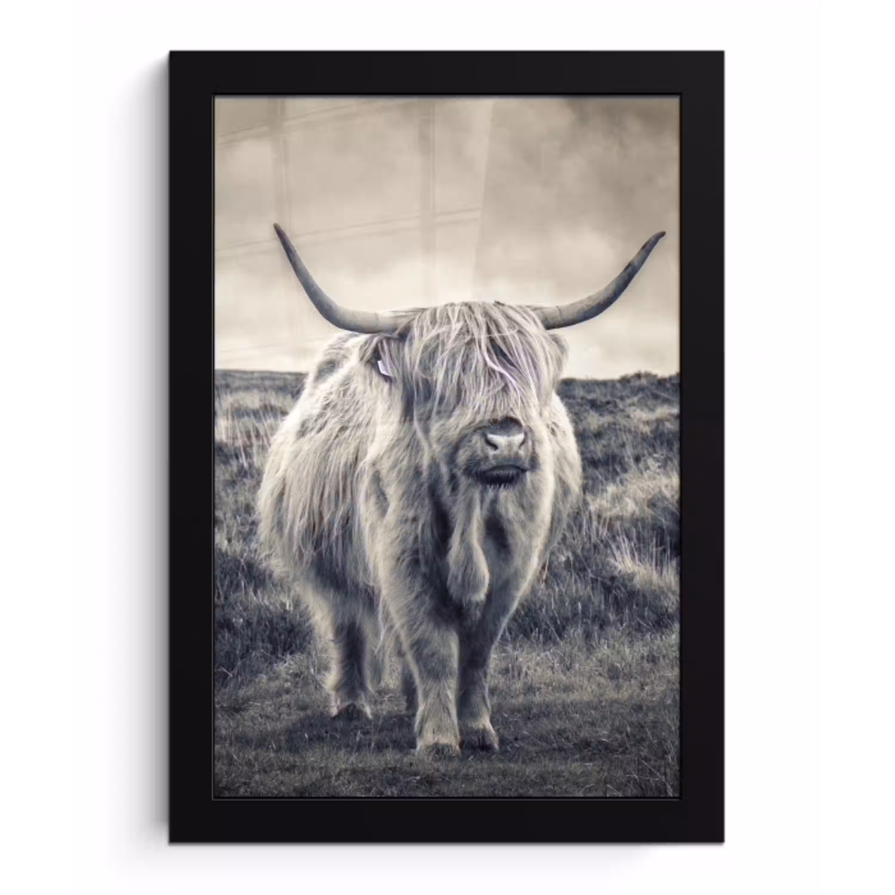 Schotse hooglander - Dieren - Wolken - Koe - Natuur fotolijst zwart zonder passe partout klein -3d