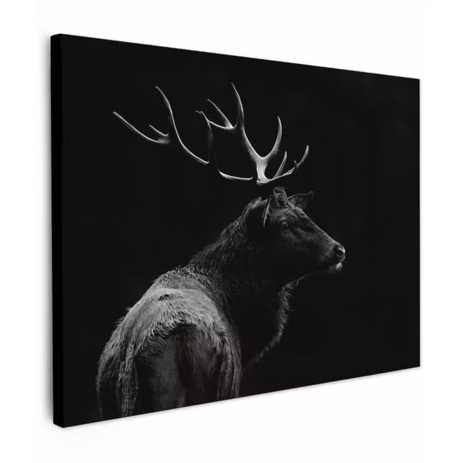 Canvas schilderij - Hert - Zwart - Portret - Gewei - Dieren