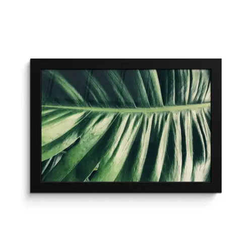 Palmblad - Tropisch - Natuur - Jungle fotolijst zwart zonder passe partout klein -3d