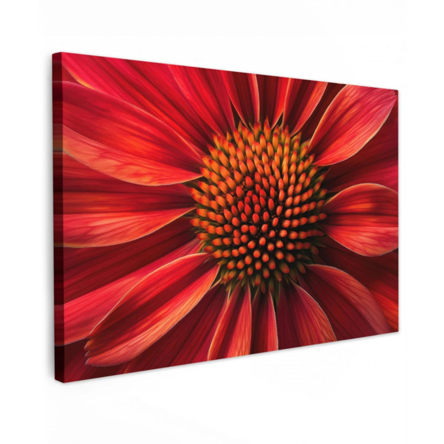 Close up - Bloem- Rood Tuinposter op houten frame 2 cm dik klein -3d