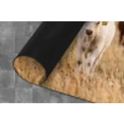 Runderen - Kudde - Landschap - Weide - Rustig Keukenloper - keukenmat middel -closeup