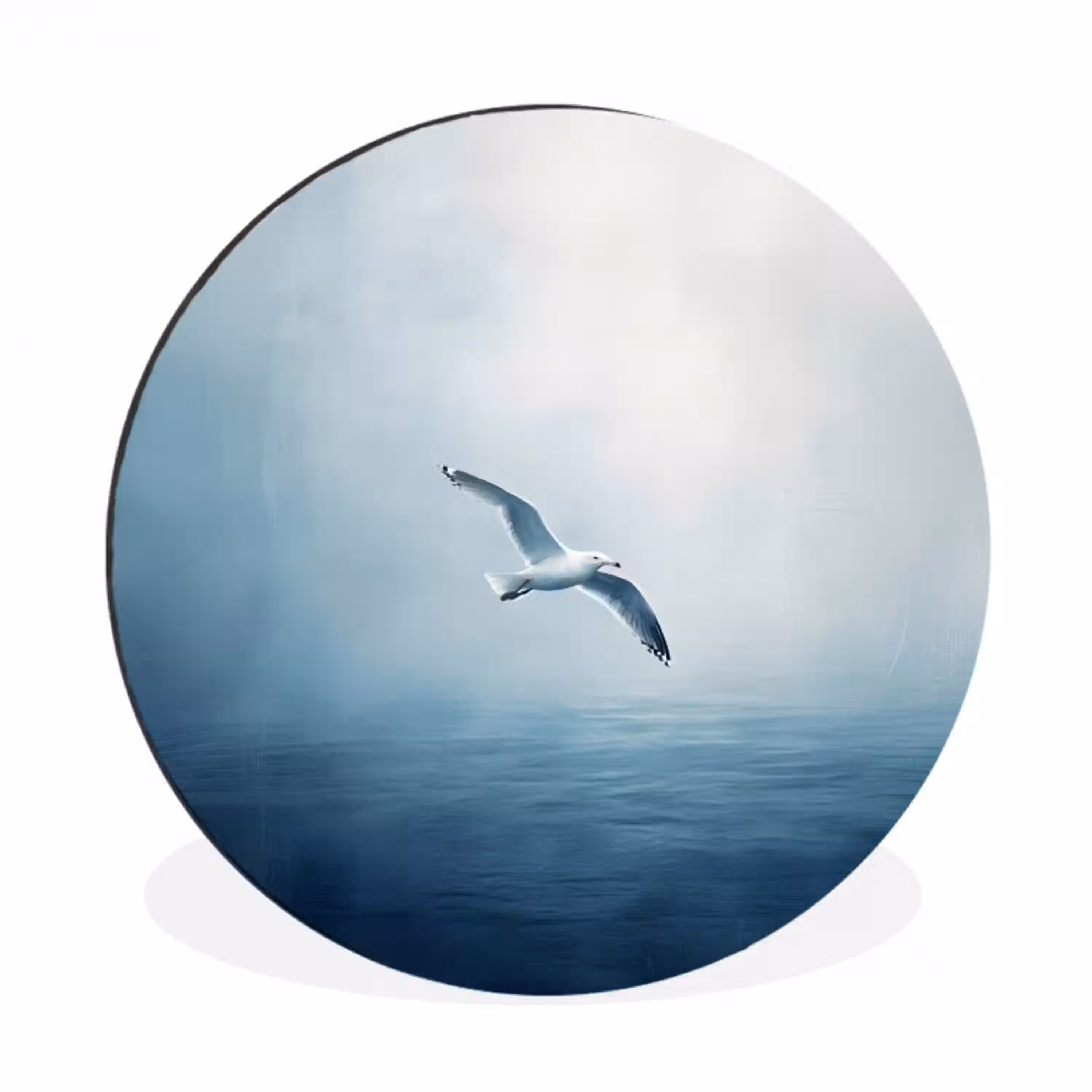 Meeuw - Wit - Zee - Mistig Wandcirkel aluminium klein -3d