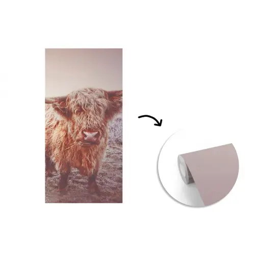 Schotse hooglanders - Licht - Lucht - Natuur fotobehang vinyl groot -3d
