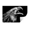 Adelaar - Portret - Roofvogels - Zwart - Wit - Vogel Muursticker klein -3d