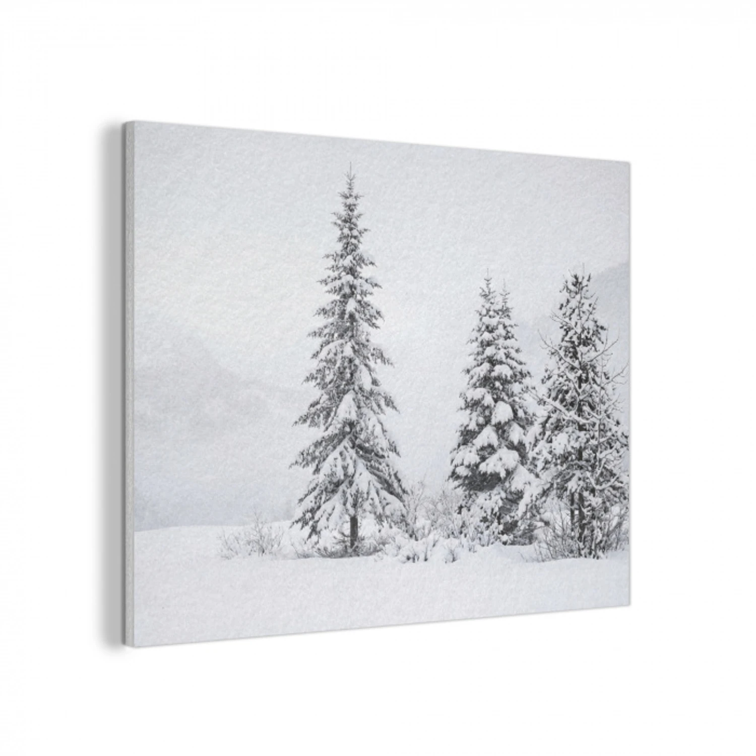 Fijnsparren - Sneeuw - Winter - Landschap - Stilte PET vilt klein -3d