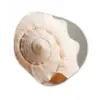 Schelp - Detail - Beige Wandcirkel Organisch Aluminium middel -3d