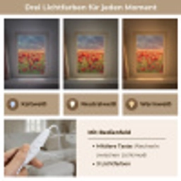 Zonsondergang - Klaprozen - Rood - Bloemen - Veld - Natuur Light Box met kabel (Tafellamp) klein -USP_lichtkleurDE