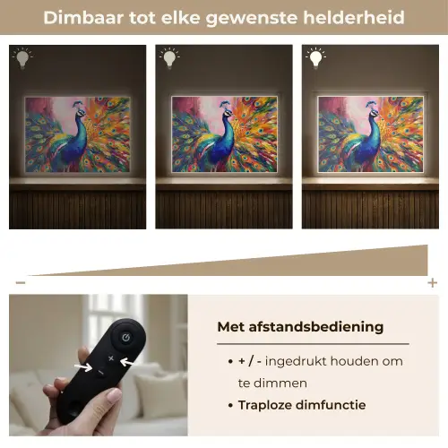 Pauw - Dieren - Schilderij - Regenboog Light Box met batterij (Wandlamp) middel -USP_dimbaarNL