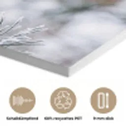 Dennenappel - Tak - Sneeuw - Winter - Sfeervol PET vilt klein -closeup_DE