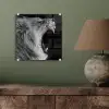 Dieren - Leeuw - Zwart - Wit - Portret plexiglas 5mm klein -sfeer3
