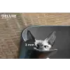Sphynx - Kat - Dieren - Humor - Spaghetti - Zwart Wit Placemat vinyl groot -closeup