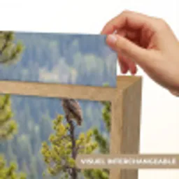 Uil - Oehoe - Bomen - Natuur Light Box met kabel (Kinderlampje) klein -USP_websiteprintFR