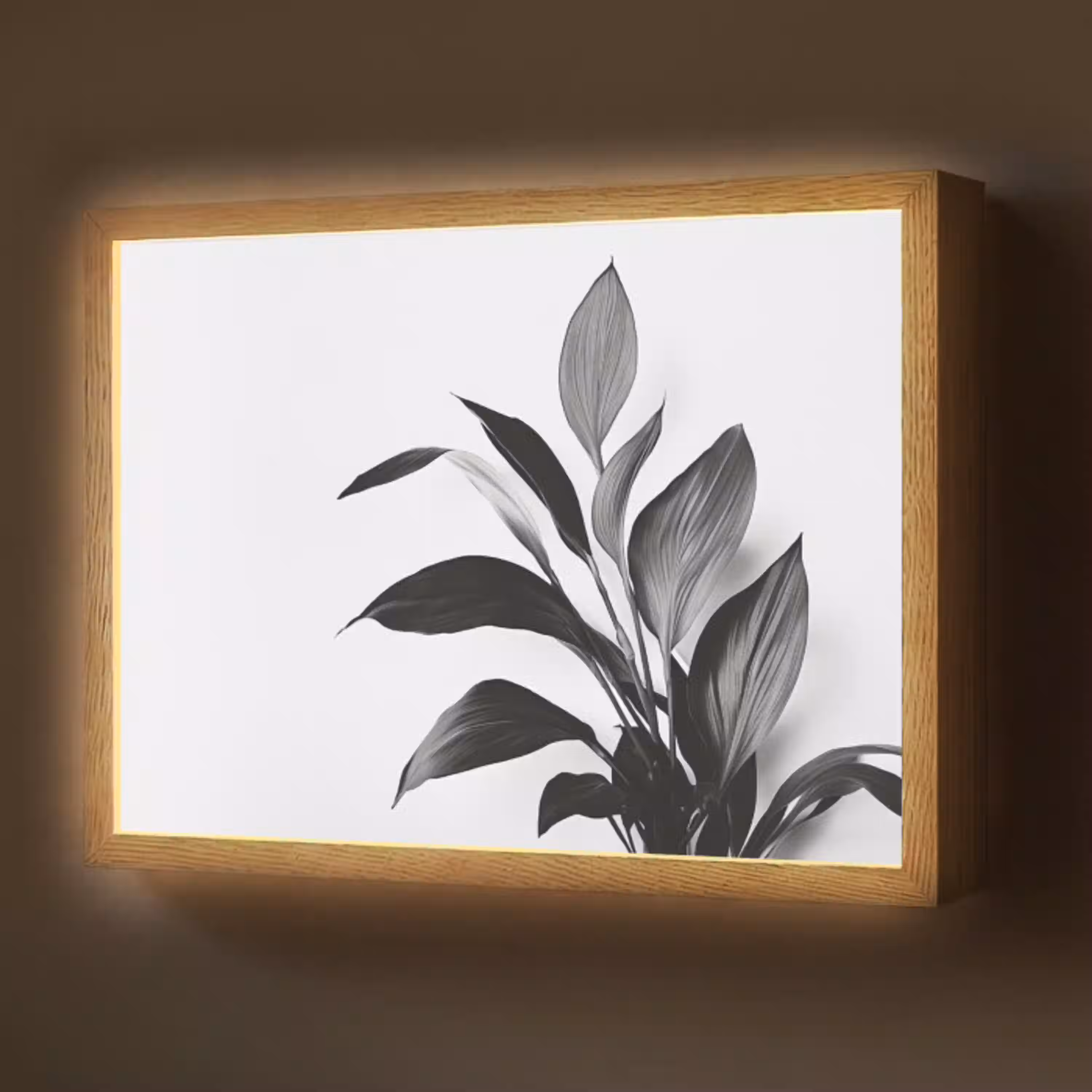 Plant - Bladeren - Minimalistisch - Zwart Light Box met batterij (Wandlamp) middel -z3d_website