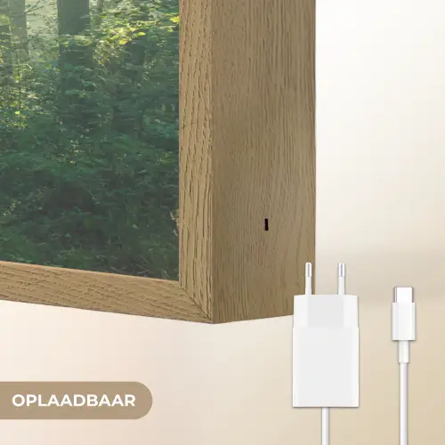 Bos - Pad - Zon - Bomen - Groen - Natuur Light Box met batterij (Wandlamp) middel -USP_websiteoplaadbaarNL